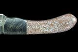 Damascus Knife With Fossil Dinosaur Bone (Gembone) Inlays #86542-2